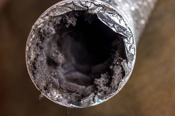 Best Ventilation Cleaning Services  in Mount Dora, FL